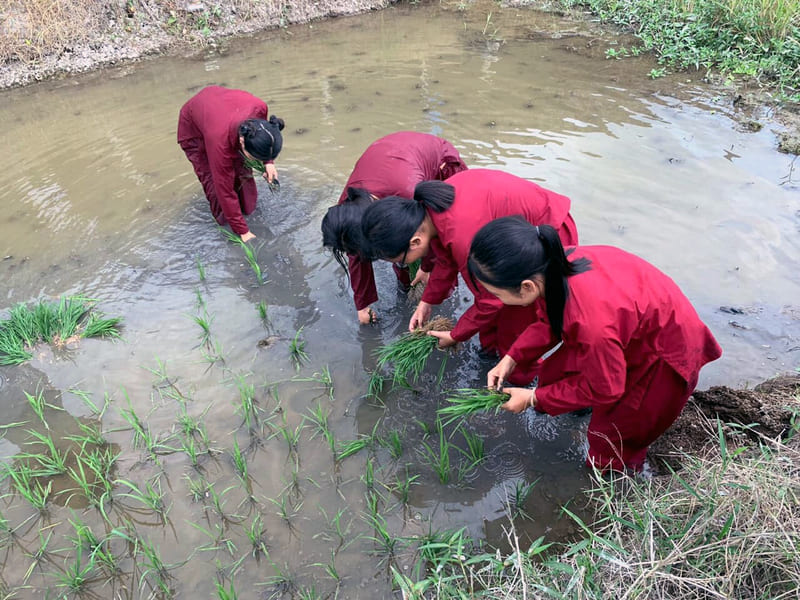 Khu du lịch Văn hóa Phương Nam Đồng Tháp 13