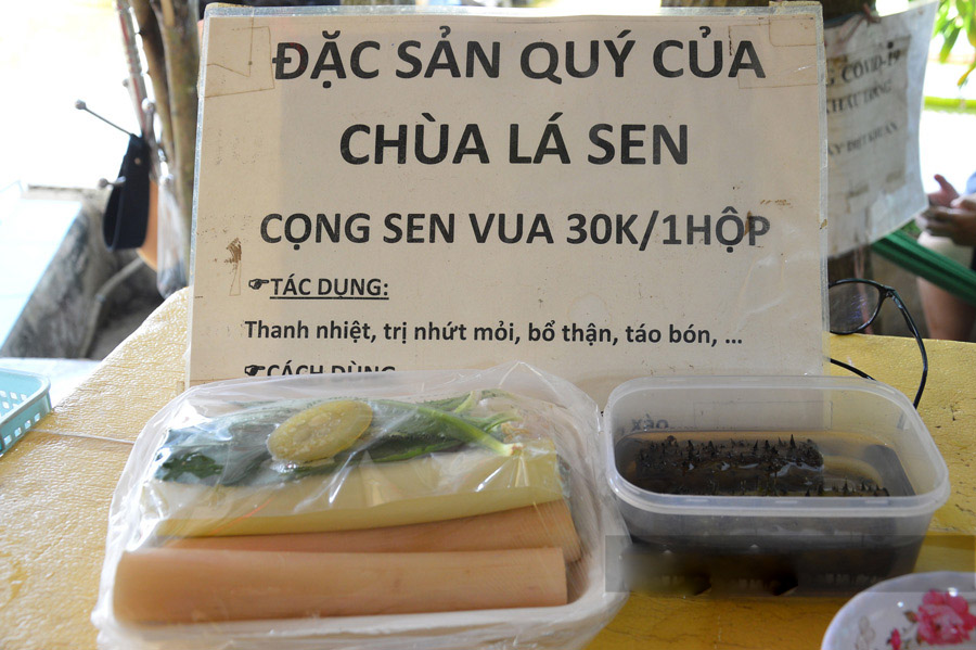Vãn cảnh chùa Lá Sen, chiêm ngưỡng “vua” của các loại sen khổng lồ 15