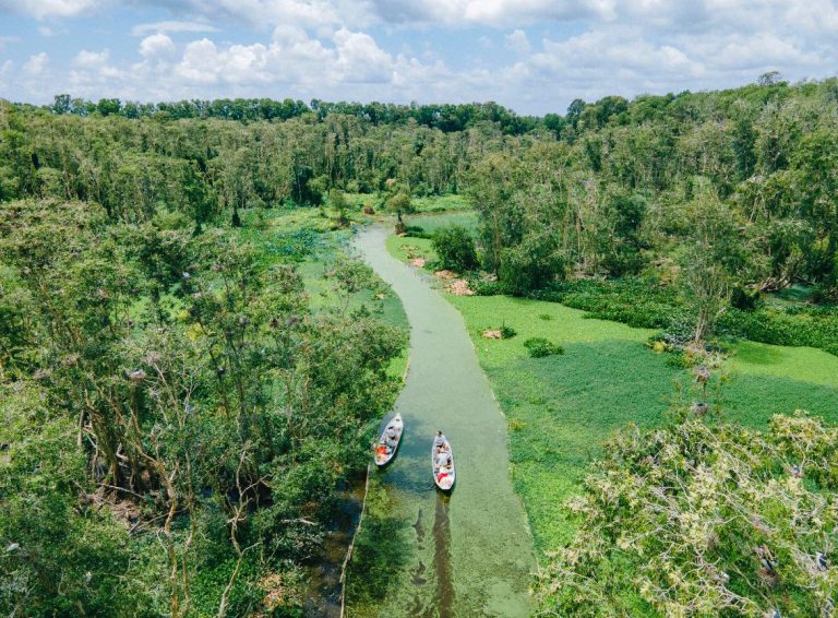 Tour khám phá Rừng Tràm Trà Sư – Nửa ngày