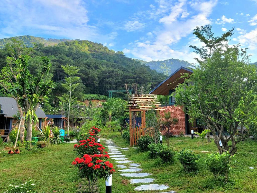 Anna Little Garden 