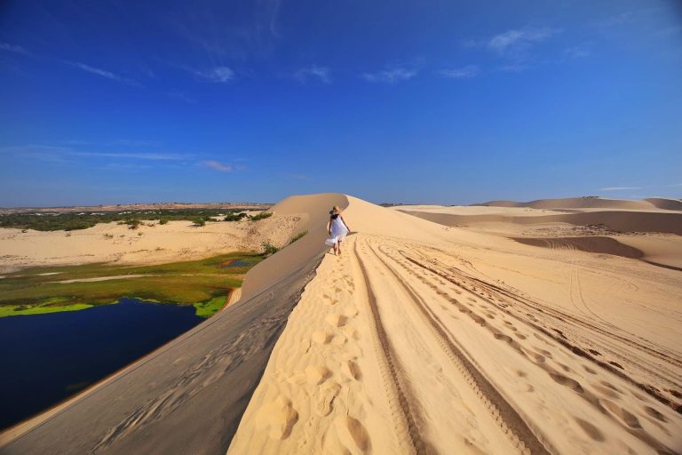 Bàu Trắng – Tiểu sa mạc Sahara trong lòng Phan Thiết