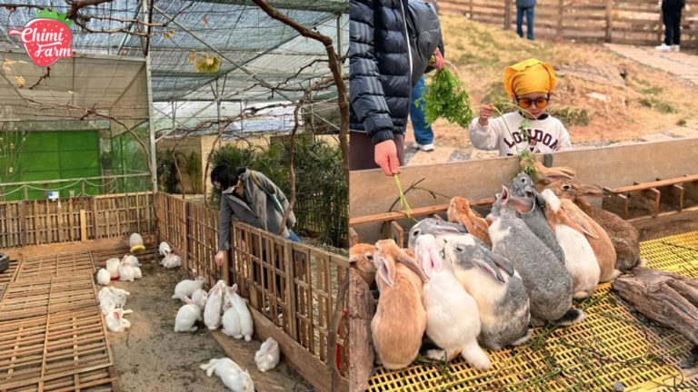 Danh sách Farmstay còn hoạt động tại Hà Nội năm 2025