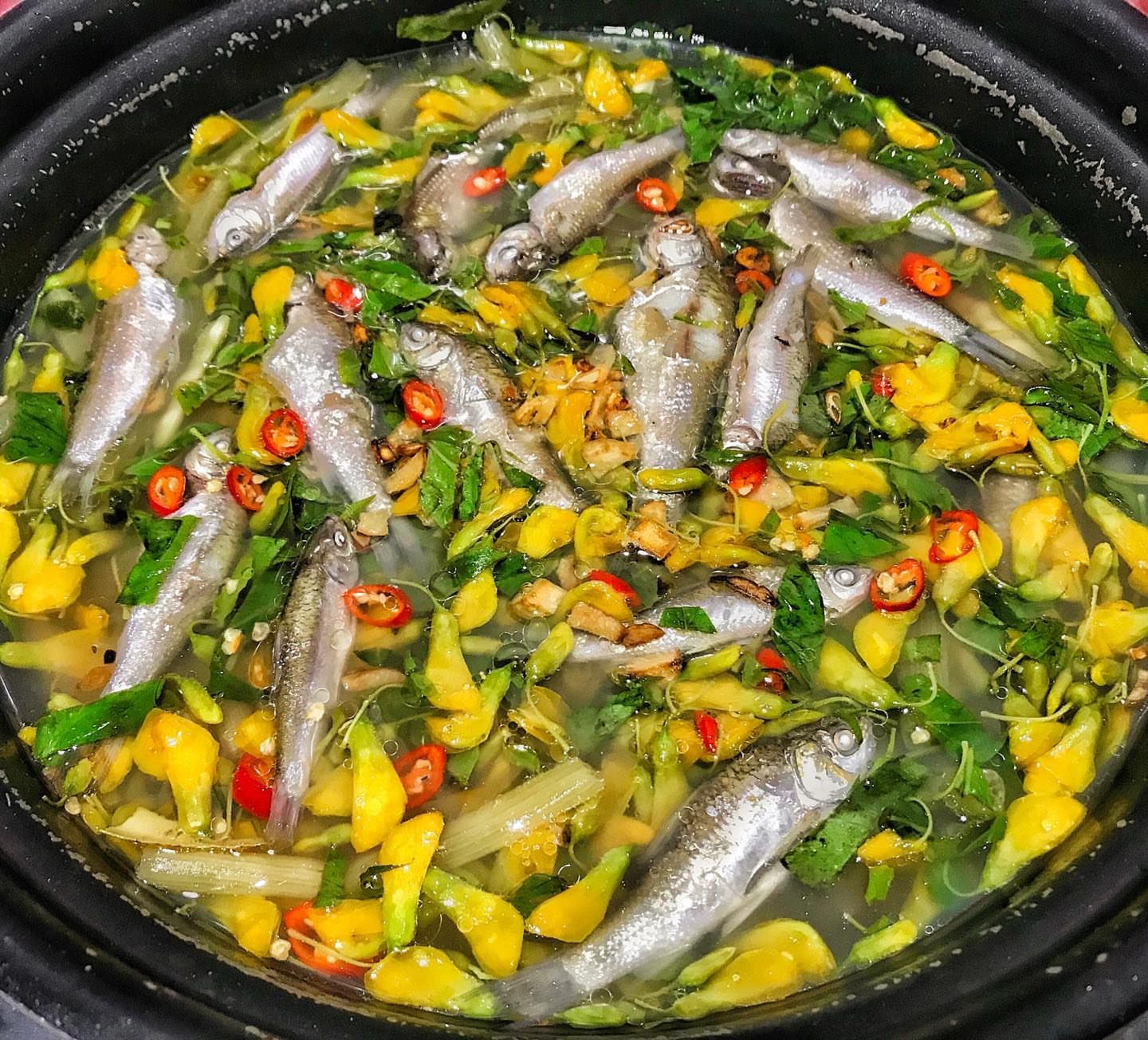 RỪNG TRÀM TRÀ SƯ – VẺ ĐẸP XANH NGẮT GIỮA LÒNG AN GIANG MỚI 9
