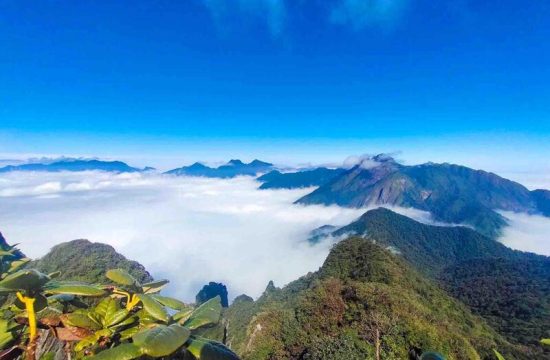 Trekking Tả Liên Sơn: Chinh phục miền đất nở hoa 11