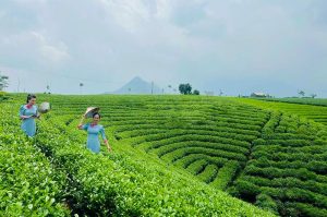 Tour trọn gói Hà Nội – Hồ Núi Cốc (Thái Nguyên) 1 ngày 2