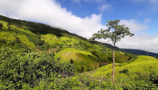 Hành trình khám phá Mường Nhé – Núi rừng nguyên sinh 3