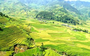 Tour du lịch Mù Cang Chải - Lào Cai 9