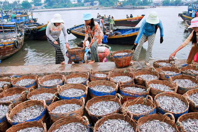 Nghề làm nước mắm Phú Quốc – Di sản mặn mòi giữa lòng biển đảo An Giang mới 5