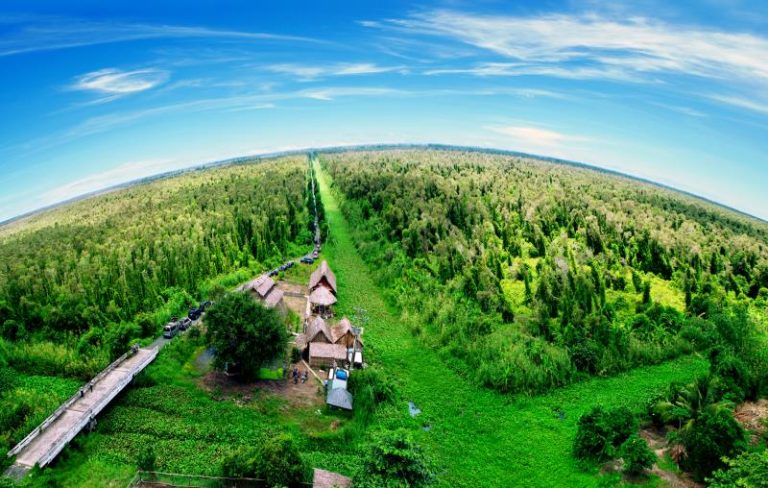 Lịch Trình Du Lịch Cà Mau 3 Ngày 2 Đêm: Khám Phá Đất Mũi và Những Di Sản Văn Hóa Miền Tây