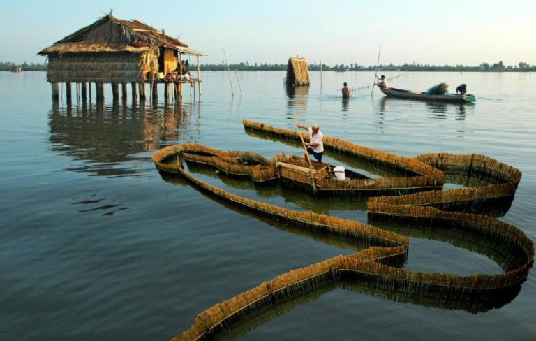 Tour Trọn Gói 6 Ngày 5 Đêm | Lướt Cano Rừng Đước – Check-in Cực Nam Tổ Quốc