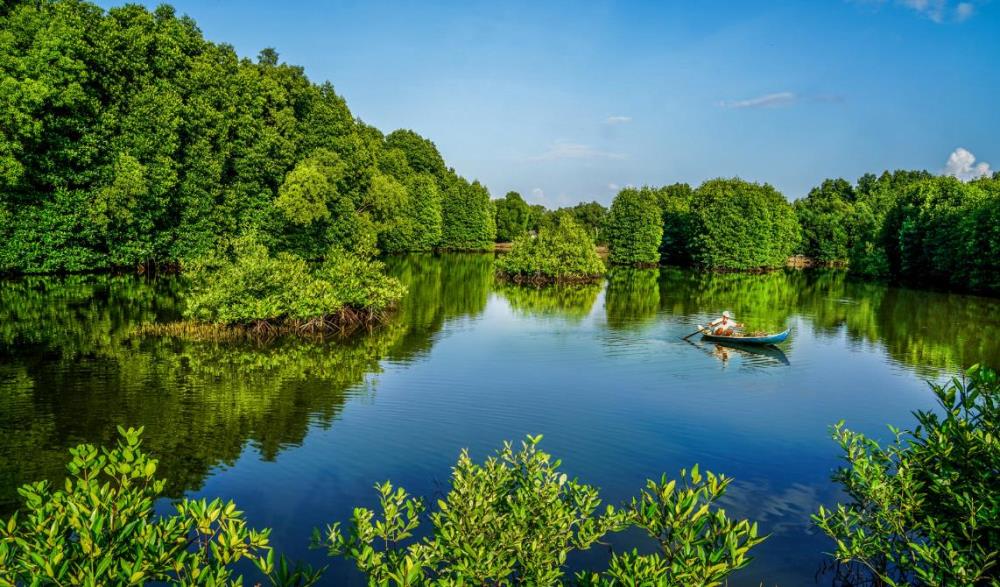 Tour Ghép Đoàn Cà Mau – Đà Lạt 4 Ngày 3 Đêm: Hành Trình Từ Miền Sông Nước Đến Thành Phố Ngàn Hoa 3