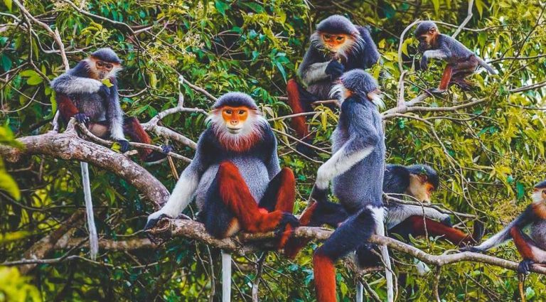 Lịch trình 4 ngày 3 đêm: Trải Nghiệm Sinh Thái & Khám Phá Nét Hoang Sơ Ninh Bình (Mới)