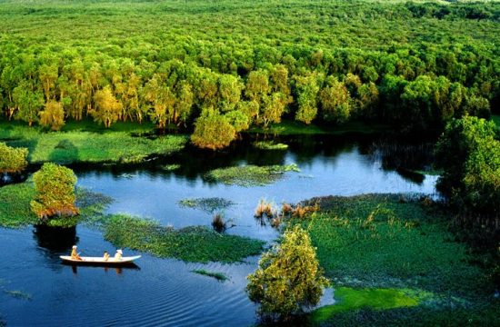 RỪNG TRÀM TRÀ SƯ – VẺ ĐẸP XANH NGẮT GIỮA LÒNG AN GIANG MỚI 3