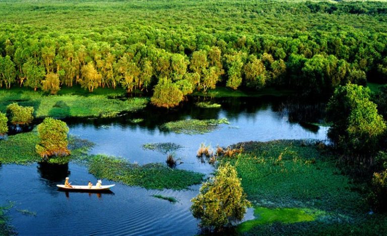 RỪNG TRÀM TRÀ SƯ – VẺ ĐẸP XANH NGẮT GIỮA LÒNG AN GIANG MỚI
