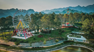 Rừng Thông Bản Áng 5
