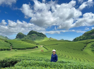 Tour tự lái 2 ngày 1 đêm: Khám phá Mộc Châu 3