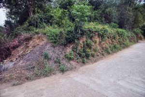 Thành cổ Châu Sa 7
