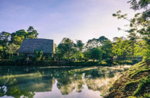 Rừng thông Măng Đen, hình ảnh Đà Lạt thu nhỏ trong lòng Kon Tum 3