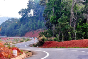 Rừng thông Măng Đen, hình ảnh Đà Lạt thu nhỏ trong lòng Kon Tum 7