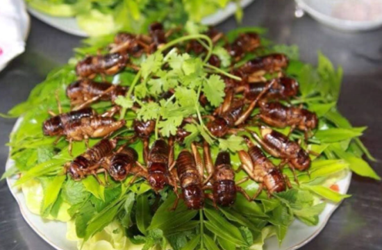 Dế chiên Kon Tum, món ăn đặc sản nổi tiếng ở vùng đất Tây Nguyên 39