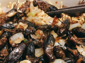 Dế chiên Kon Tum, món ăn đặc sản nổi tiếng ở vùng đất Tây Nguyên 3