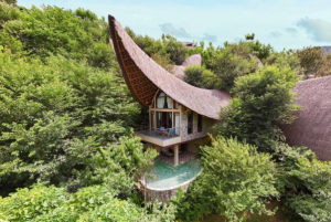 Garrya Mu Cang Chai 13