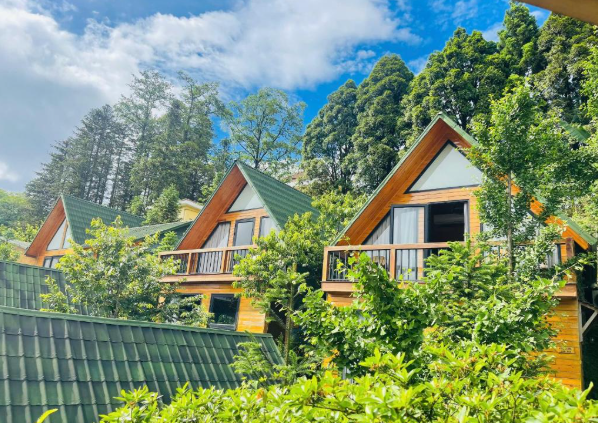 Sapa Pine Hill Eco Lodge