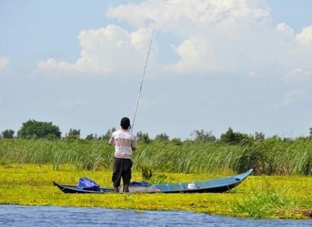 Vườn quốc gia U Minh Thượng – Kỳ quan sinh thái độc nhất giữa An Giang mới 9
