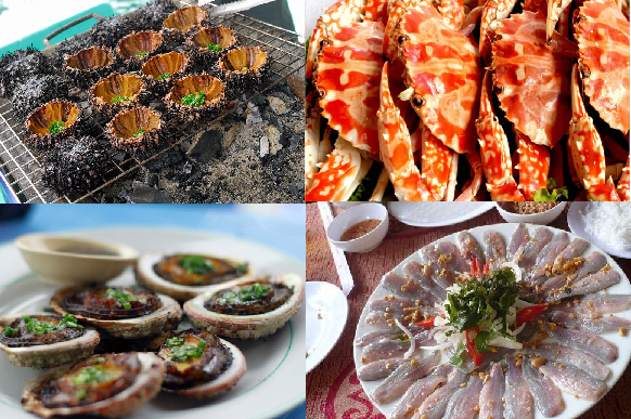 Hòn Thơm – “Thiên đường đảo ngọc” giữa lòng Đặc khu Phú Quốc, tỉnh An Giang mới 13