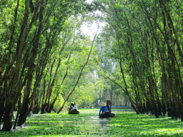 Du Lịch Thời Đại Việt – Tour Đồng Tỉnh Miền Tây 4 Ngày 3 Đêm
