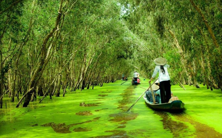 Vườn quốc gia U Minh Thượng – Kỳ quan sinh thái độc nhất giữa An Giang mới