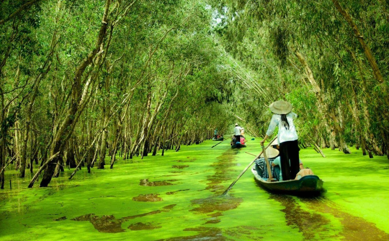 Vườn quốc gia U Minh Thượng – Kỳ quan sinh thái độc nhất giữa An Giang mới 1