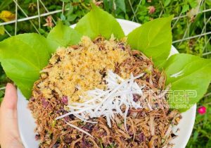 Trám đen - sản vật quý của Hà Châu 5