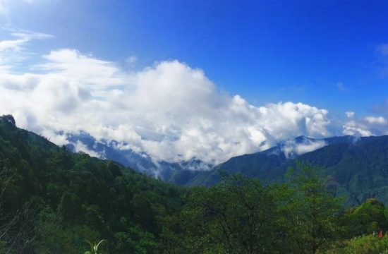 Khu bảo tồn thiên nhiên Mường Tè – Thiên đường ẩn mình giữa dãy núi Tây Bắc 14