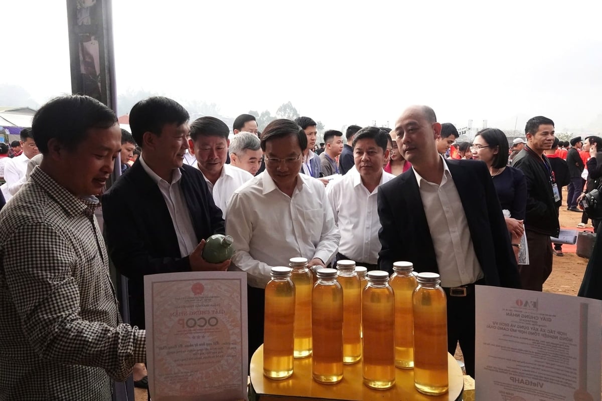 Mật ong Mù Cang Chải - Ngọt thơm hương vị hoa rừng 3