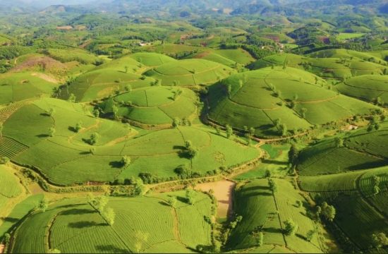 Tour 2N1Đ Khám phá Phú Thọ - Hòa mình vào cội nguồn thiên nhiên 11