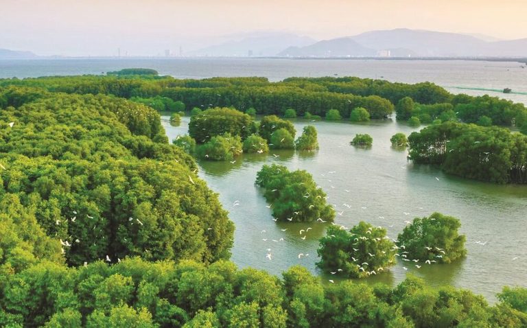 Tour Cồn Chim Chèo Sup Quy Nhơn nửa ngày