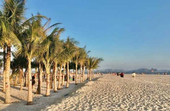Halongtourism – Tour Hạ Long 2 ngày 1 đêm khám phá đảo Titop & Hang Sửng Sốt (giá từ ~1.580.000 đ) 7