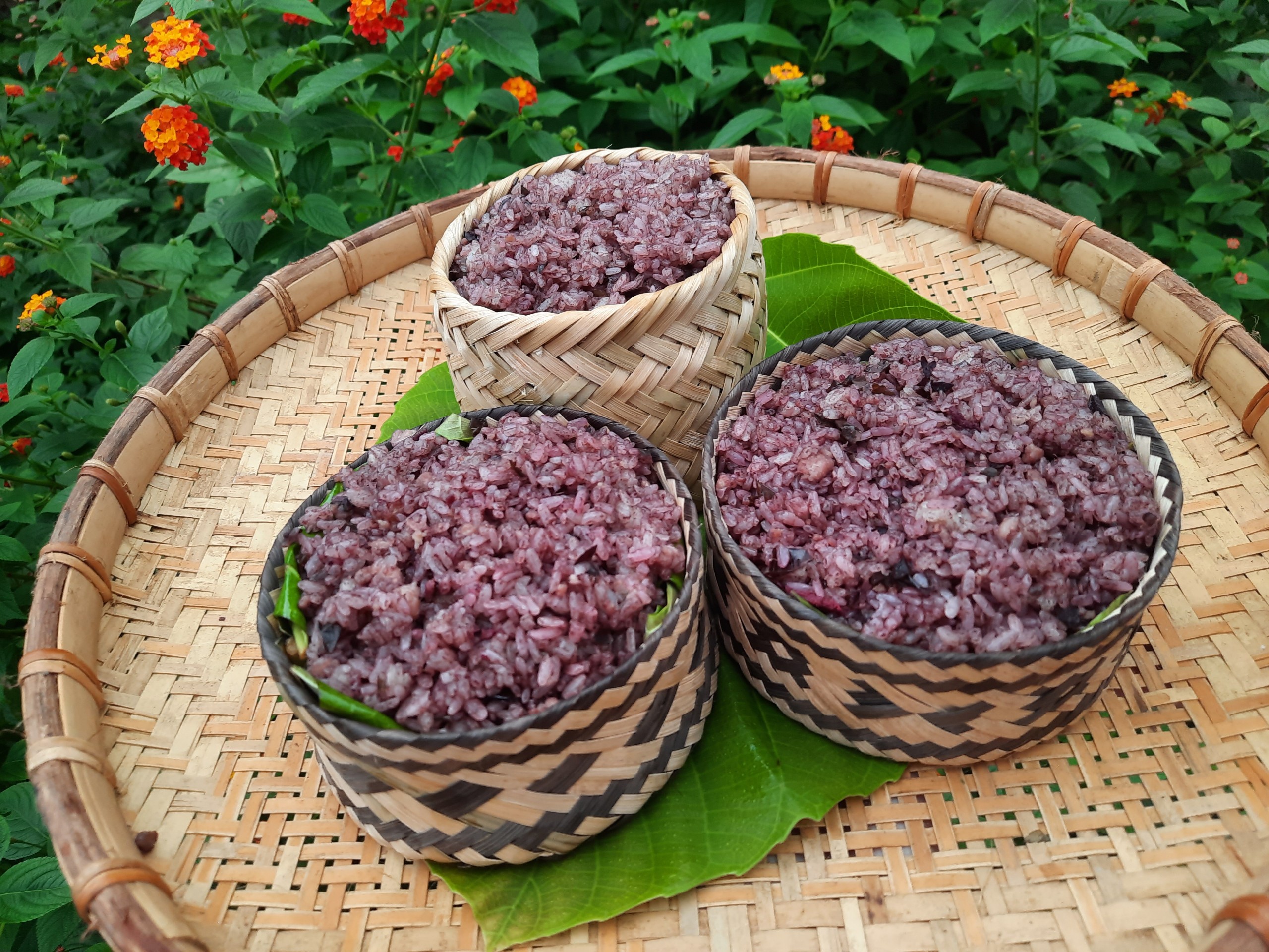 Xôi trám đen - món ăn dân dã nổi tiếng của Cao Bằng  1