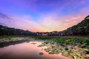 TOUR TỰ LÁI VĨNH LONG - 3 NGÀY 2 ĐÊM 1