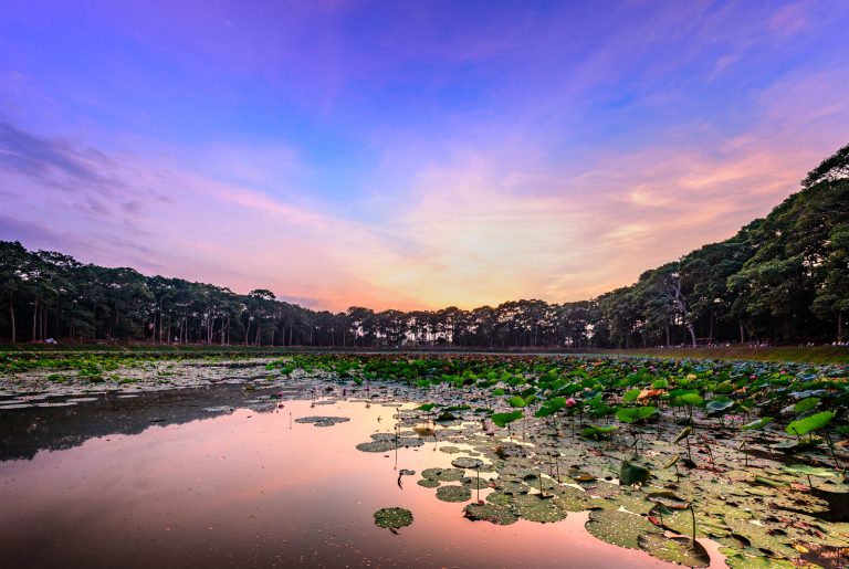 TOUR TỰ LÁI VĨNH LONG – 3 NGÀY 2 ĐÊM