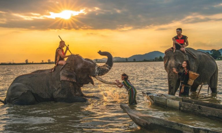 Khám phá Buôn Đôn – Vùng đất Voi và cầu treo huyền thoại
