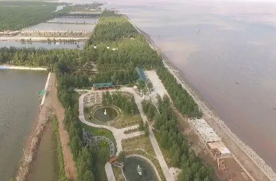 Bãi biển Cồn Đen – Không gian biển yên bình giữa vùng đất Hưng Yên 13