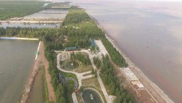 Bãi biển Cồn Đen – Không gian biển yên bình giữa vùng đất Hưng Yên 3