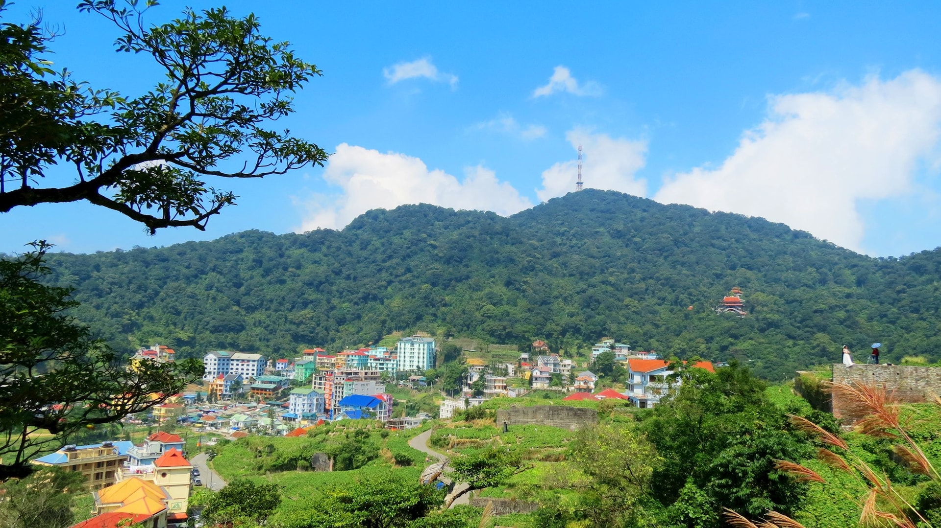 Tam Đảo - Sapa thu nhỏ ngay tại Phú Thọ 3