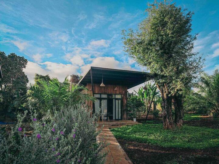Bungalow Sunflower Paksong Farmstay  1