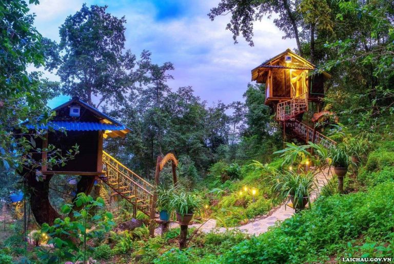 Homestay Nhà Tổ Chim – “Treehouse” độc đáo, trải nghiệm gần gũi thiên nhiên