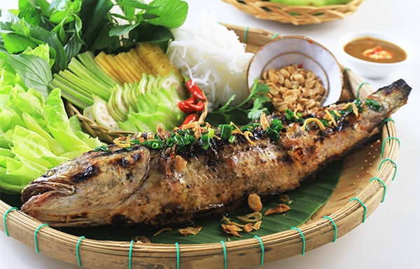 RỪNG TRÀM TRÀ SƯ – VẺ ĐẸP XANH NGẮT GIỮA LÒNG AN GIANG MỚI 11