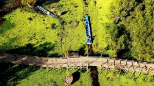 Du Lịch Việt – Tour Miền Tây 3 Ngày 2 Đêm (TP.HCM → Mỹ Tho → Cần Thơ → Châu Đốc → Trà Sư) 7