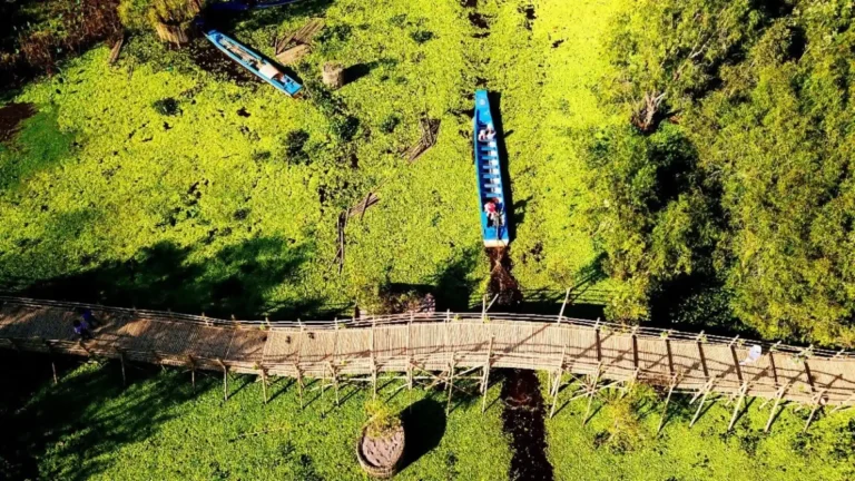 Du Lịch Việt – Tour Miền Tây 3 Ngày 2 Đêm (TP.HCM → Mỹ Tho → Cần Thơ → Châu Đốc → Trà Sư)